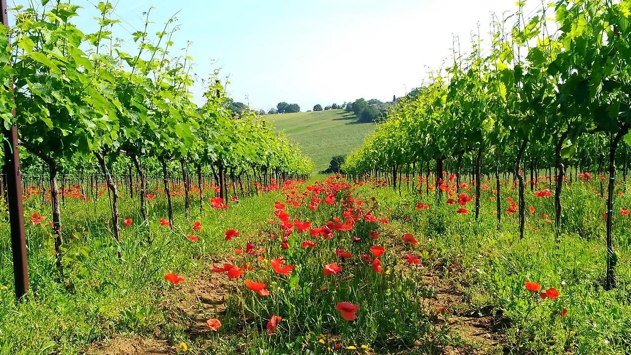 Agriturismo Il Querciolo Badicorte Marciano della Chiana 0*,